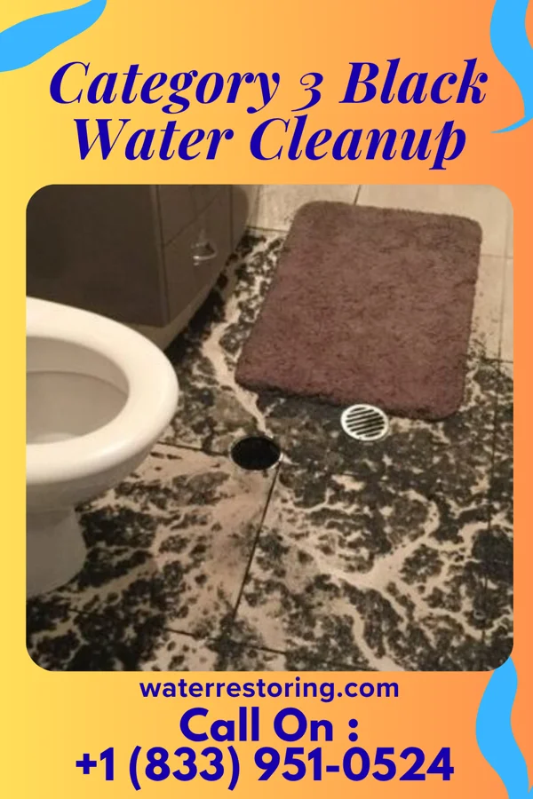 Category 3 Black Water Cleanup in Minto, ND